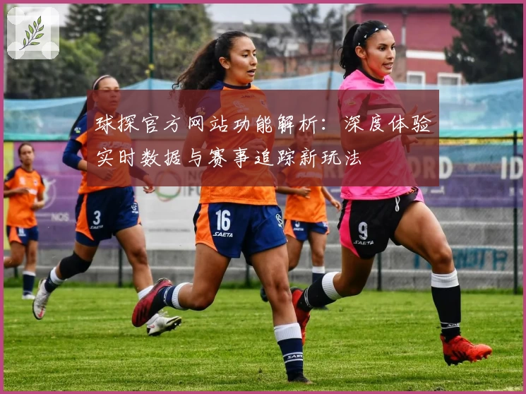 球探官方网站功能解析：深度体验实时数据与赛事追踪新玩法