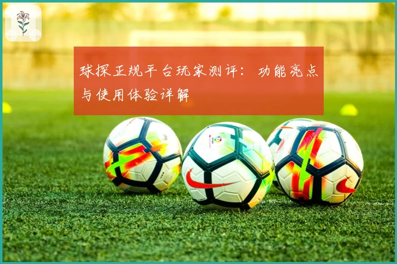 球探正规平台玩家测评:功能亮点与使用体验详解
