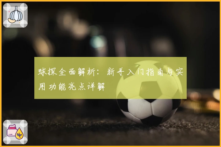 球探全面解析：新手入门指南与实用功能亮点详解
