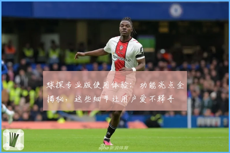 球探专业版使用体验:功能亮点全揭秘,这些细节让用户爱不释手